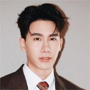 Tul Pakorn Thanasrivanitchai,ตุลย์ ภากร ธนศรีวนิชชัย